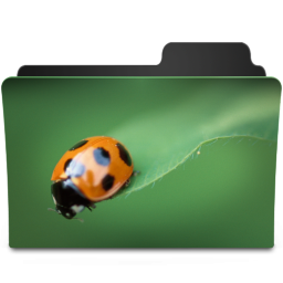 Bug I Icon 256x256 png